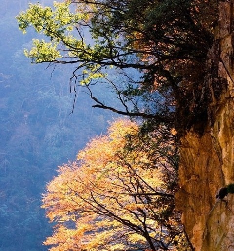 f:id:xian_golden_bridge:20091028004007j:image