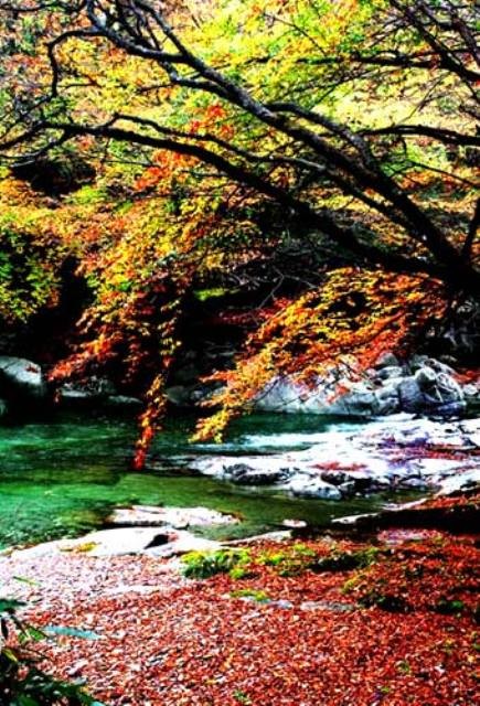 f:id:xian_golden_bridge:20091028004010j:image
