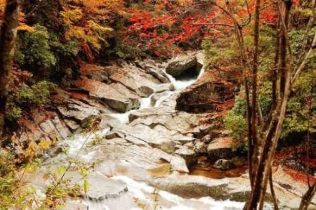 f:id:xian_golden_bridge:20091028004011j:image