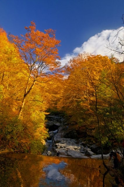 f:id:xian_golden_bridge:20091028004021j:image