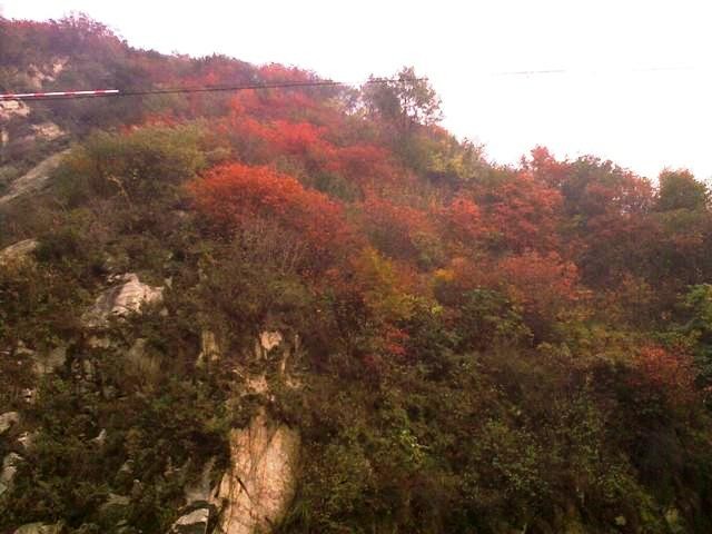 f:id:xian_golden_bridge:20091029144432j:image