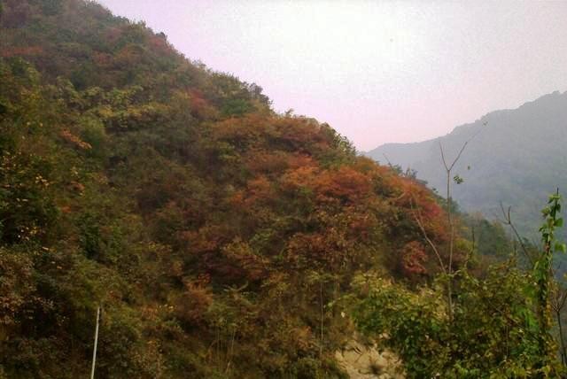 f:id:xian_golden_bridge:20091029145145j:image