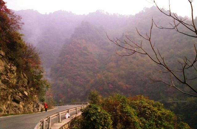 f:id:xian_golden_bridge:20091029145202j:image