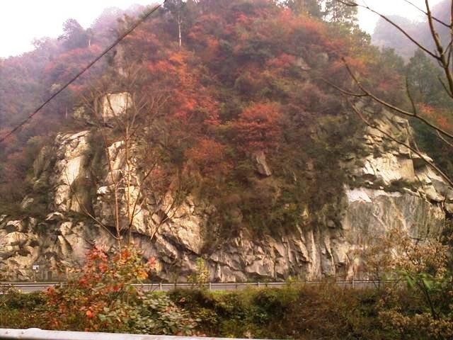 f:id:xian_golden_bridge:20091029145639j:image