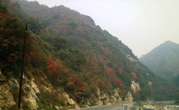 f:id:xian_golden_bridge:20091029150204j:image