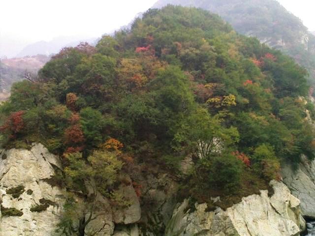 f:id:xian_golden_bridge:20091029152129j:image