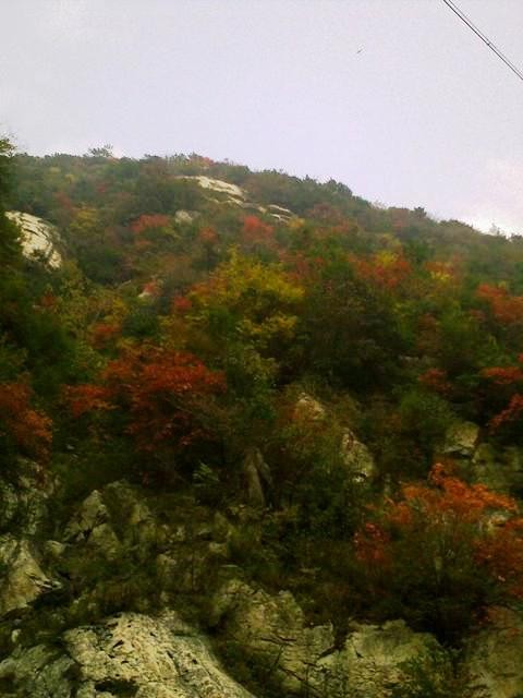 f:id:xian_golden_bridge:20091029152808j:image