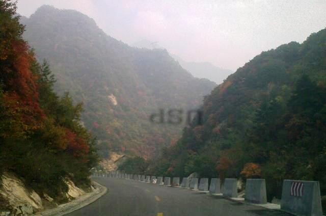 f:id:xian_golden_bridge:20091029152916j:image