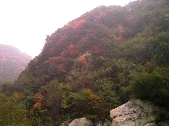 f:id:xian_golden_bridge:20091029152928j:image
