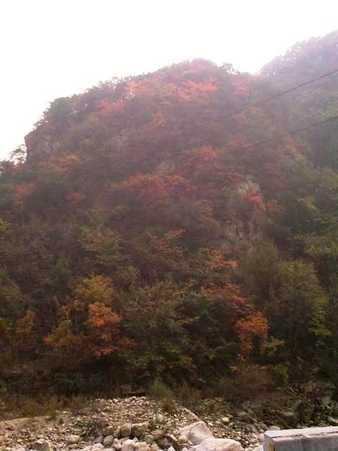 f:id:xian_golden_bridge:20091029152940j:image