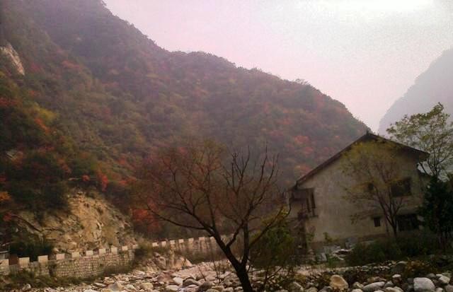 f:id:xian_golden_bridge:20091029152959j:image