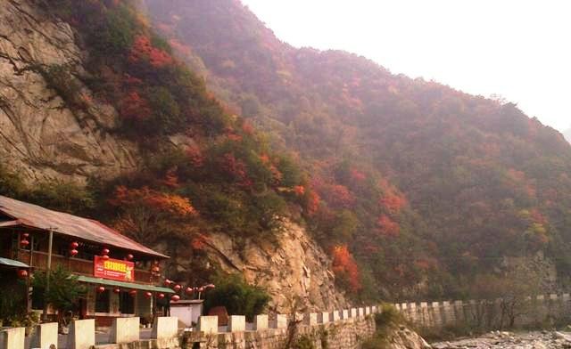 f:id:xian_golden_bridge:20091029153012j:image
