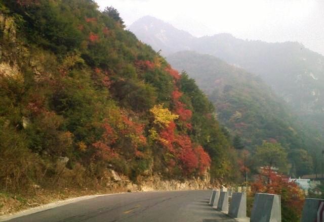 f:id:xian_golden_bridge:20091029153128j:image