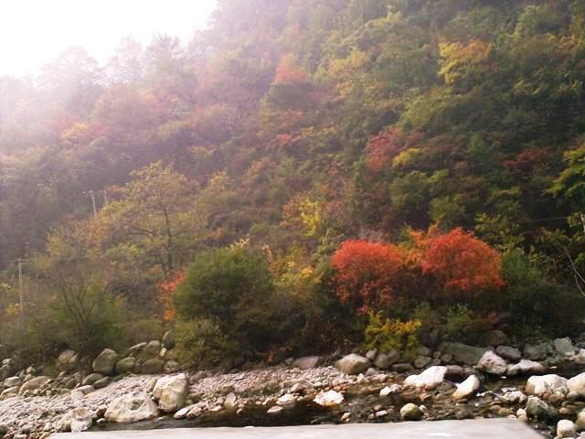 f:id:xian_golden_bridge:20091029153341j:image