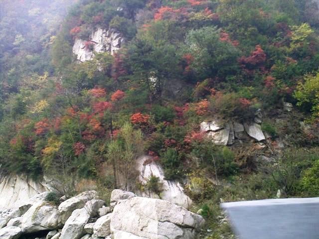 f:id:xian_golden_bridge:20091029153432j:image