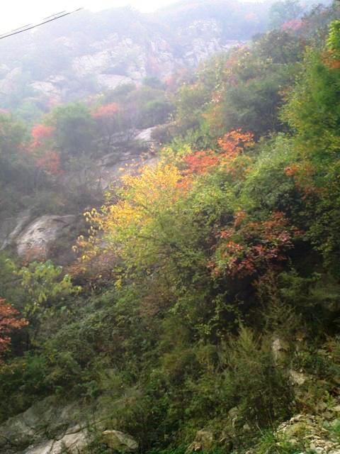 f:id:xian_golden_bridge:20091029153757j:image