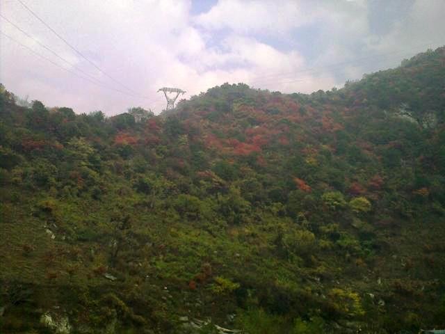 f:id:xian_golden_bridge:20091029154109j:image