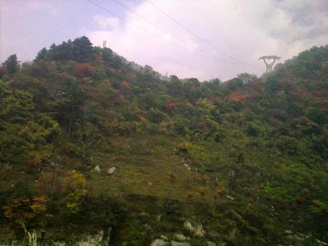 f:id:xian_golden_bridge:20091029154115j:image