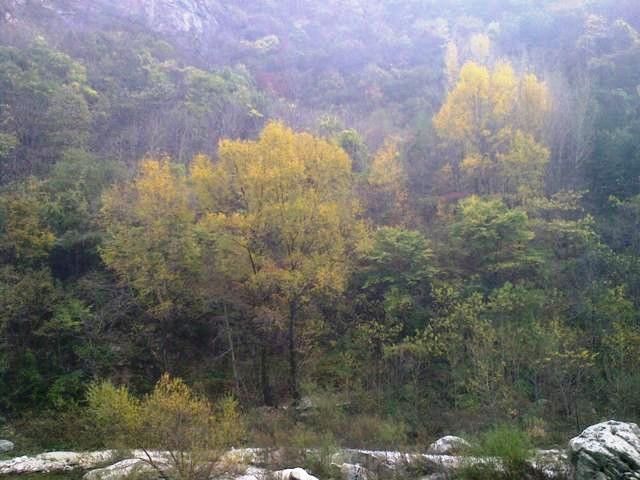 f:id:xian_golden_bridge:20091029154833j:image
