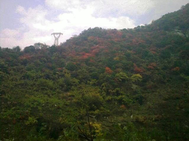 f:id:xian_golden_bridge:20091029154854j:image