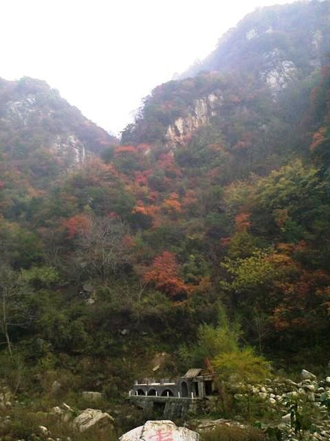 f:id:xian_golden_bridge:20091029155156j:image