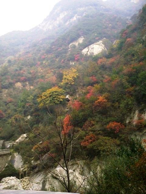 f:id:xian_golden_bridge:20091029155241j:image