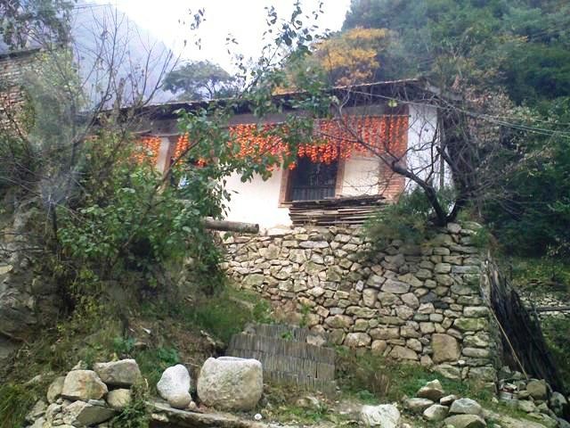 f:id:xian_golden_bridge:20091029155644j:image