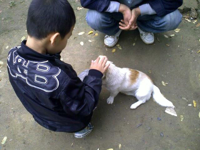 f:id:xian_golden_bridge:20091031131728j:image
