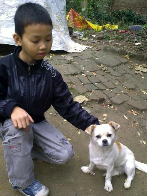 f:id:xian_golden_bridge:20091031131754j:image