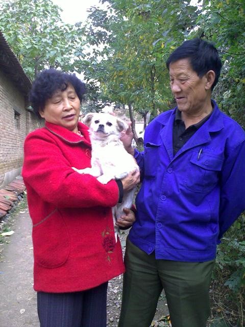 f:id:xian_golden_bridge:20091031132311j:image