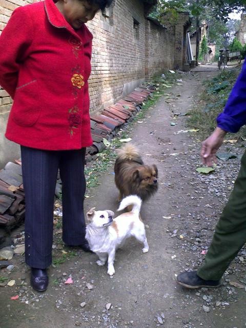 f:id:xian_golden_bridge:20091031132332j:image