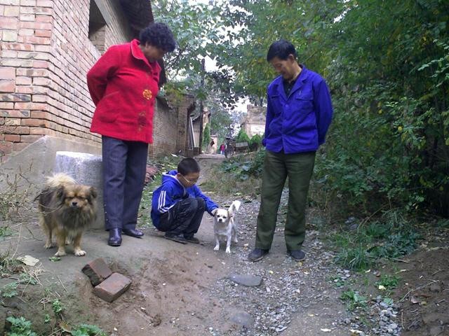 f:id:xian_golden_bridge:20091031132357j:image