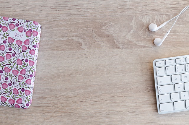 f:id:xiaocaiaya:20180129134746j:plain f:id:xiaocaiaya:20180129134746j:plain