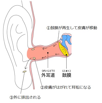 f:id:xiaocaiaya:20180718115705j:plain f:id:xiaocaiaya:20180718115705j:plain