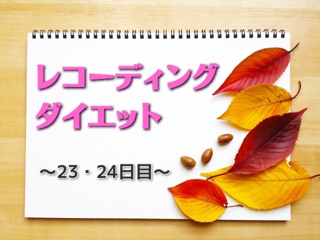 f:id:xiaocaiaya:20181119095804j:plain f:id:xiaocaiaya:20181119095804j:plain