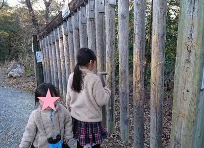 f:id:xiaocaiaya:20190121150741j:plain f:id:xiaocaiaya:20190121150741j:plain