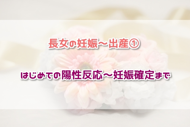 f:id:xiaocaiaya:20190122141431j:plain