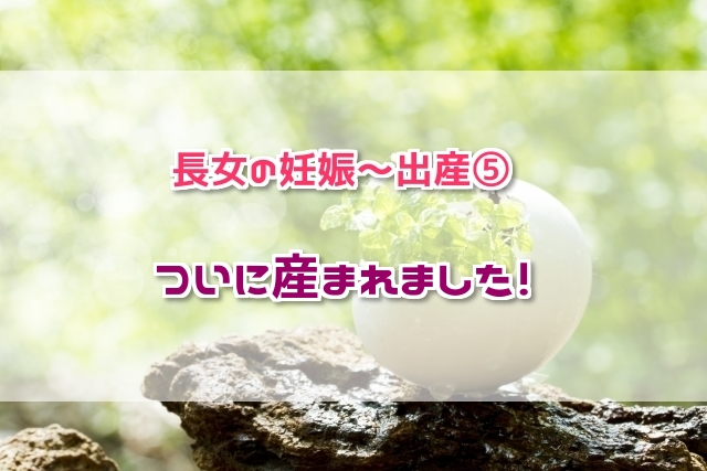 f:id:xiaocaiaya:20190124102923j:plain