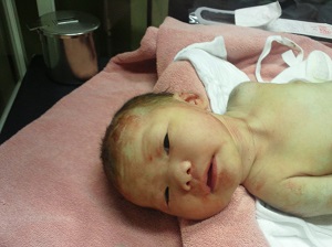 f:id:xiaocaiaya:20190125110309j:plain