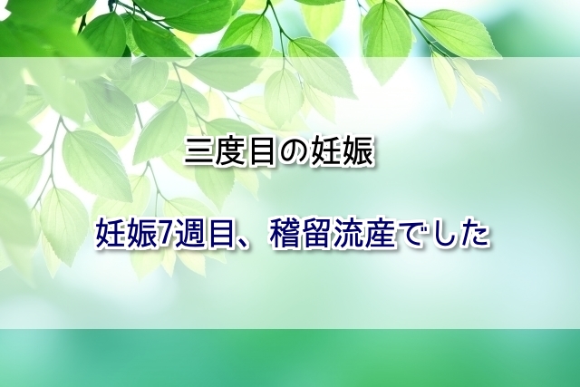 f:id:xiaocaiaya:20190205165816j:plain f:id:xiaocaiaya:20190205165816j:plain