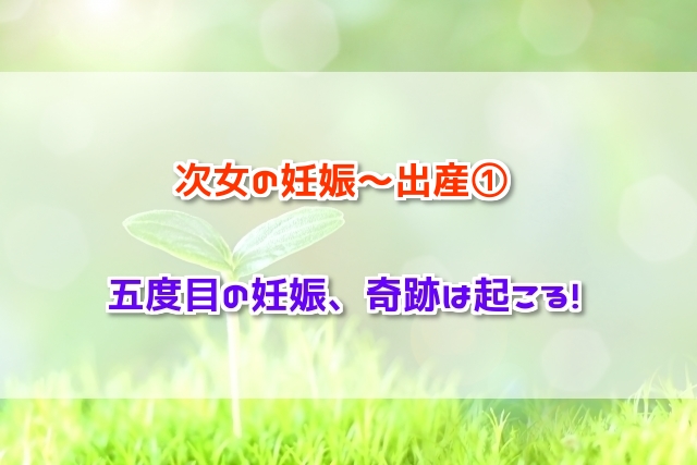 f:id:xiaocaiaya:20190212134025j:plain f:id:xiaocaiaya:20190212134025j:plain