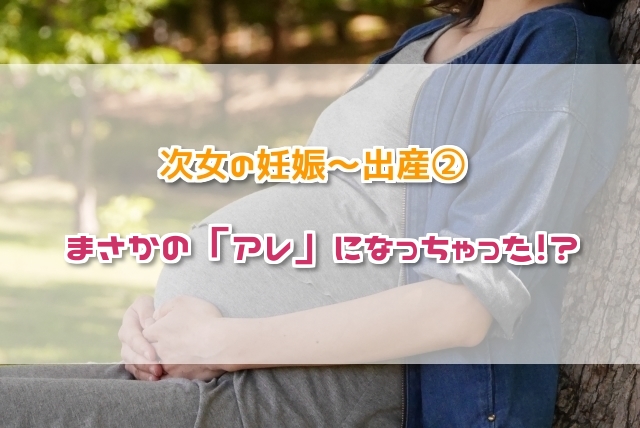 f:id:xiaocaiaya:20190214151935j:plain