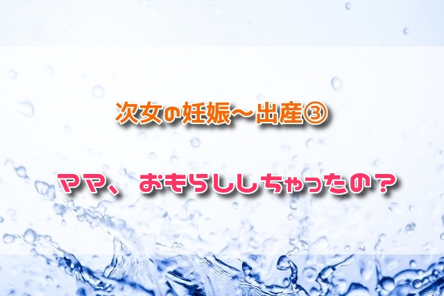 f:id:xiaocaiaya:20190218142849j:plain f:id:xiaocaiaya:20190218142849j:plain