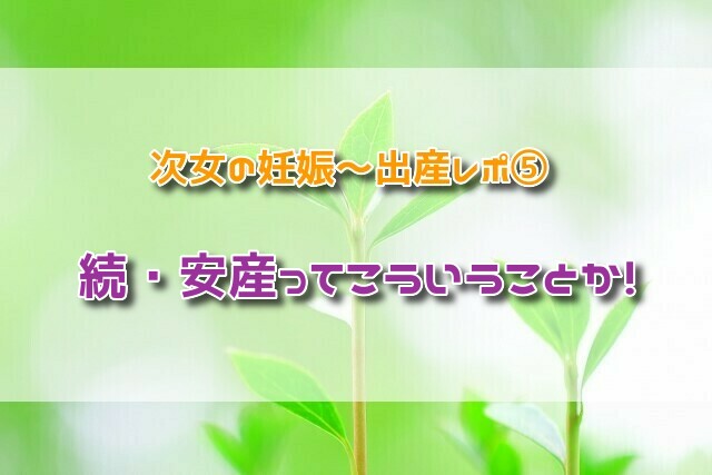 f:id:xiaocaiaya:20190222170344j:plain