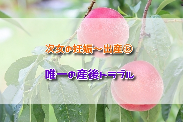 f:id:xiaocaiaya:20190225140331j:plain