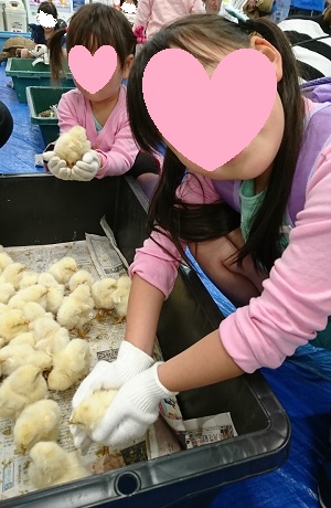 f:id:xiaocaiaya:20190508103834j:plain f:id:xiaocaiaya:20190508103834j:plain