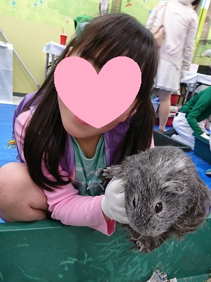 f:id:xiaocaiaya:20190508105303j:plain f:id:xiaocaiaya:20190508105303j:plain