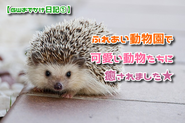 f:id:xiaocaiaya:20190508145416j:plain f:id:xiaocaiaya:20190508145416j:plain