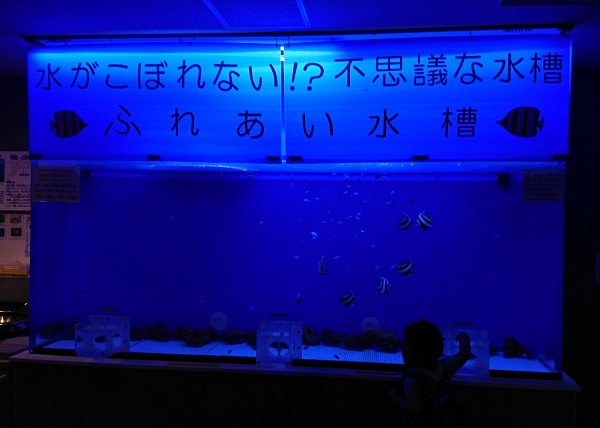 f:id:xiaocaiaya:20190524101902j:plain