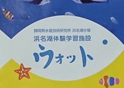 f:id:xiaocaiaya:20190524133447j:plain